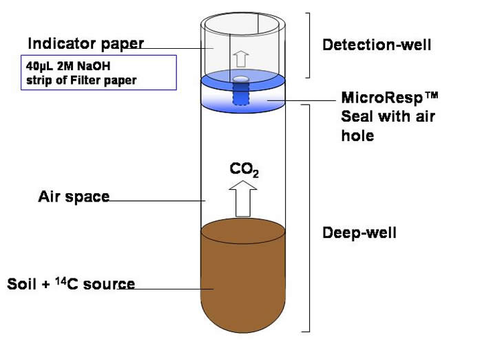 liquid scintillation counting carbon dating